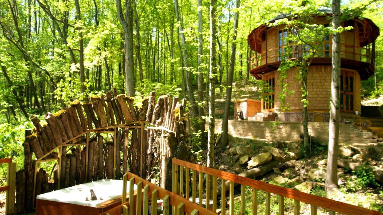 Lost River Hostel フレンチ・リック エクステリア 写真